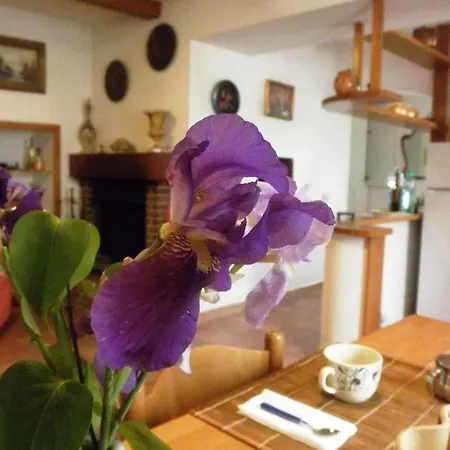 Casa Vincia