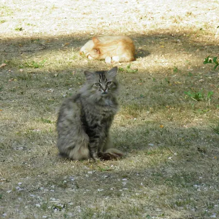 カントリーハウス Casa Vincia
