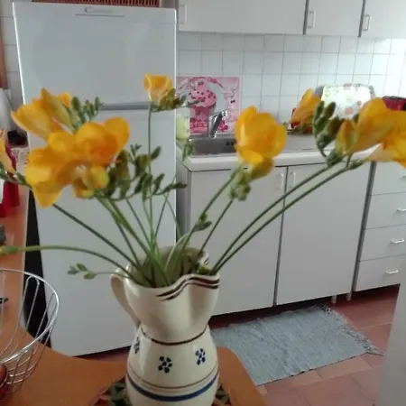 Casa Vincia Casa rural *